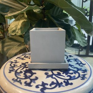 Slate Square Pot