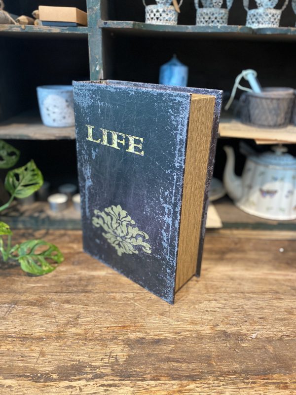 Life Book Safe Large