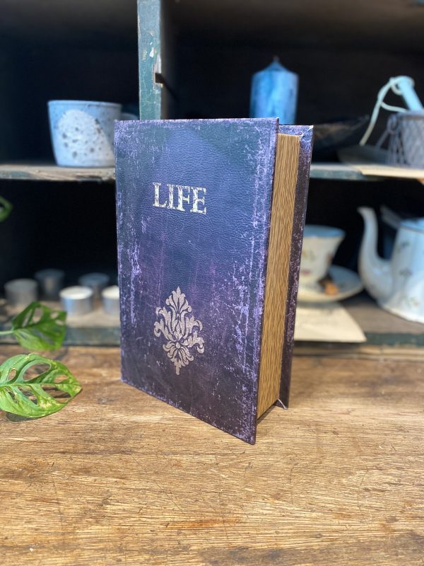Life Book Safe Medium