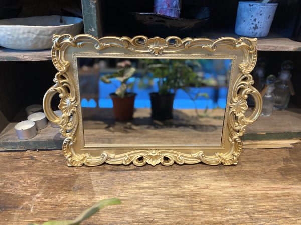 Lyon Golden Palm Mirror