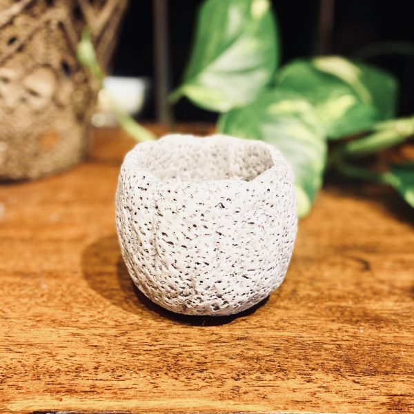 Mini Fossil Planters
