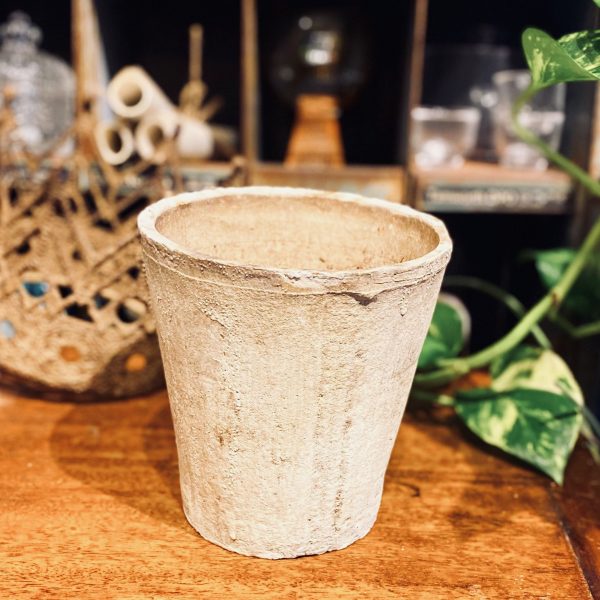 Sandy Planter