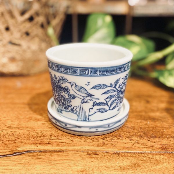 Serene Pot